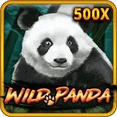 တောရိုင်းပန်ဒါ game thumbnail